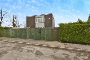 Photo 9- click for photo gallery